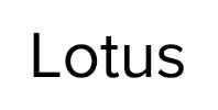 Ремонт стиральных машин Lotus в Долгопрудном